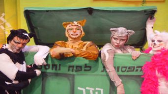 חלומות של חתולים