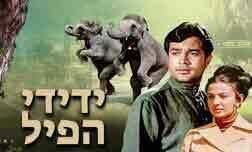ידידי הפיל