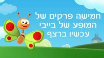 מופע של בייבי