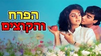 הפרח והקוצים