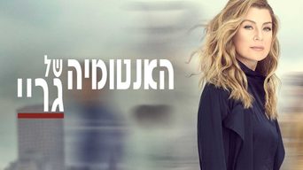 האנטומיה של גריי