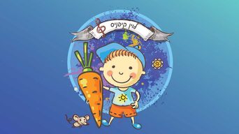 שירי לוין קיפניס