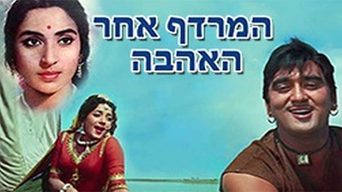 המרדף אחר האהבה