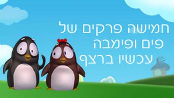 פים ופימבה
