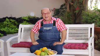 שירי טוביה צפיר