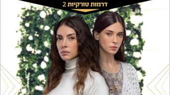 עומדות ביחד