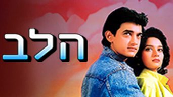 הלב