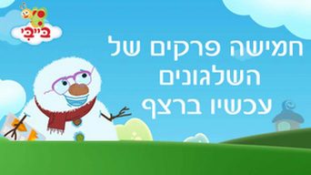 השלגונים