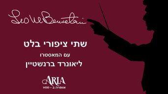 שתי ציפורי בלט